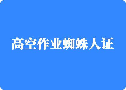 欧美白虎屄视频在线观看高空作业蜘蛛人证